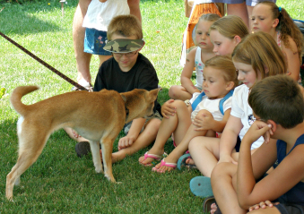 [dingo with children]